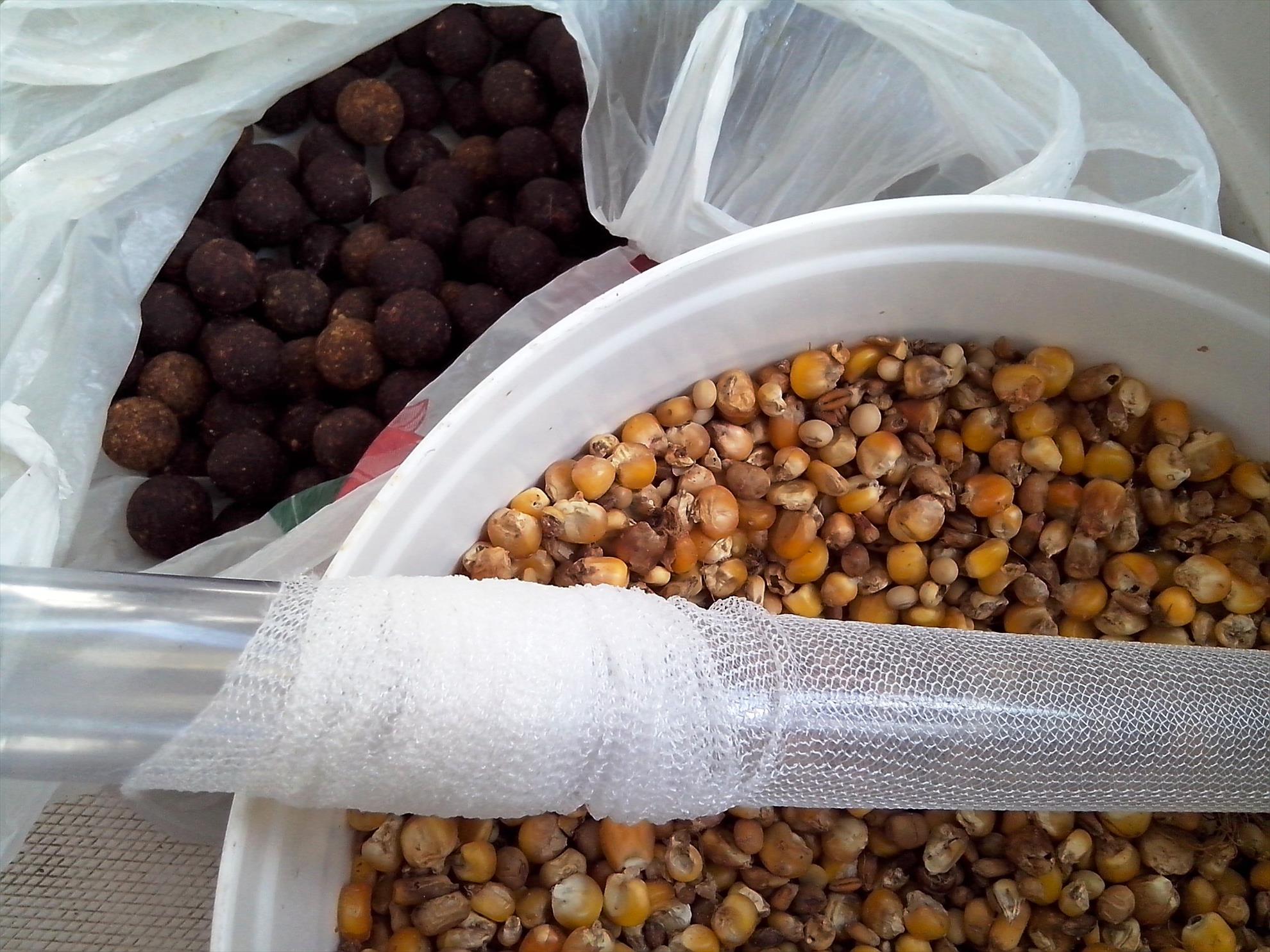 Sulina septembrie 2014 - img20140922125430.jpg